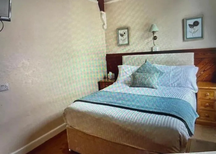 The Paddock Guest House